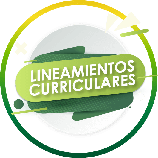 Lineamientos curriculares UDEC UCundinamarca