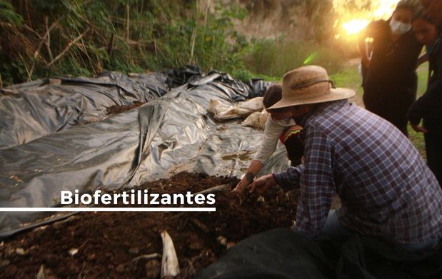 Imagen del emprendimiento