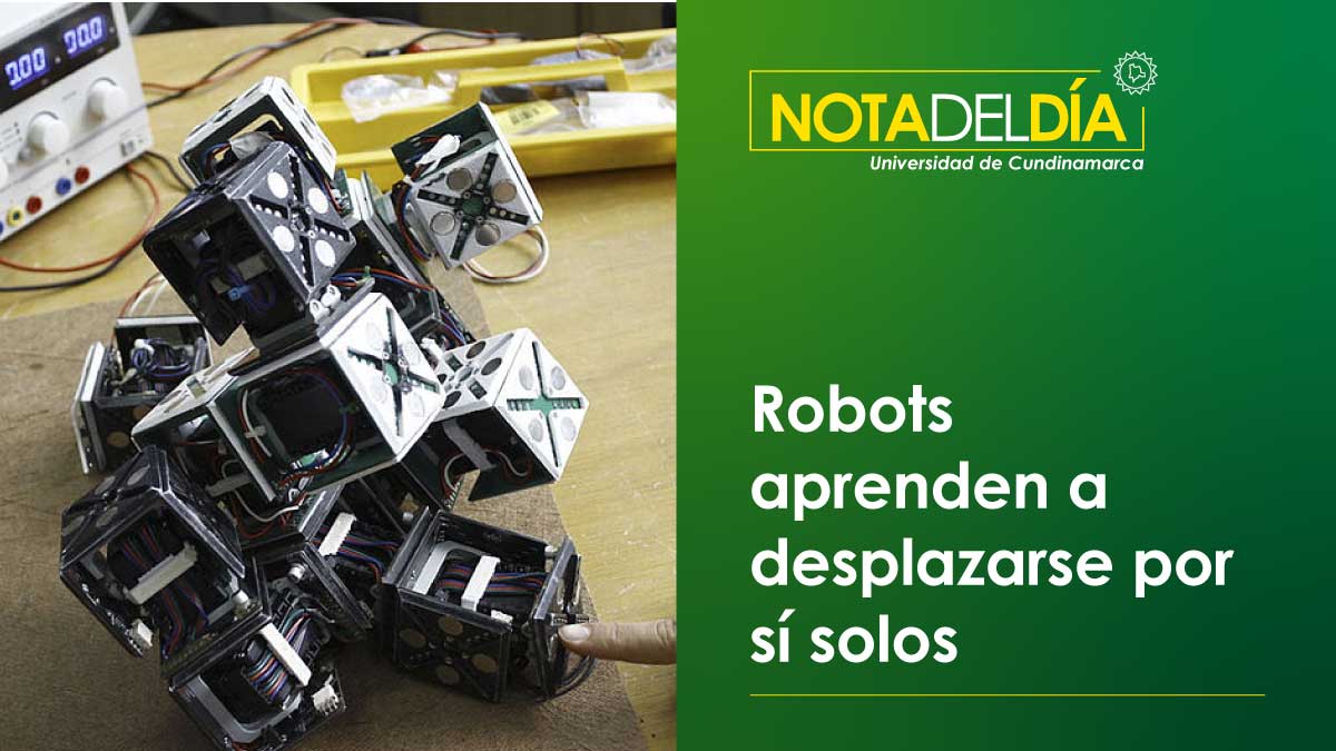 Robots aprenden a desplazarse por sí solos