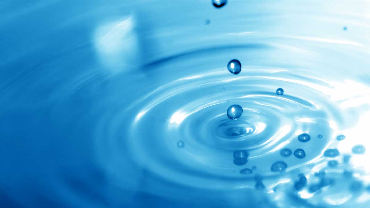 El agua: vida para todos