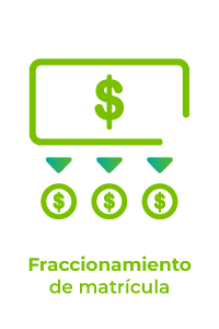 Fraccionamiento de matrícula