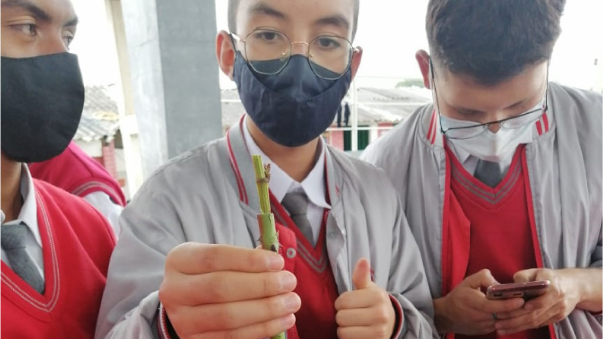 UCundinamarca enseña técnicas agrícolas en colegios