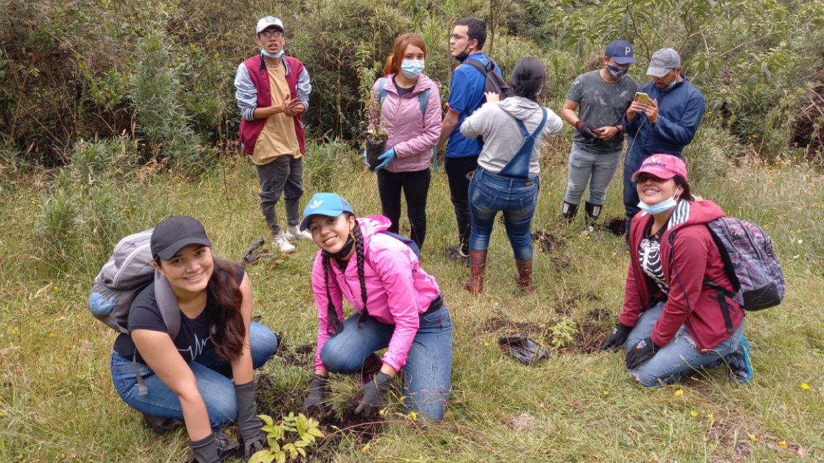 Seguimos con las jornadas de reforestación