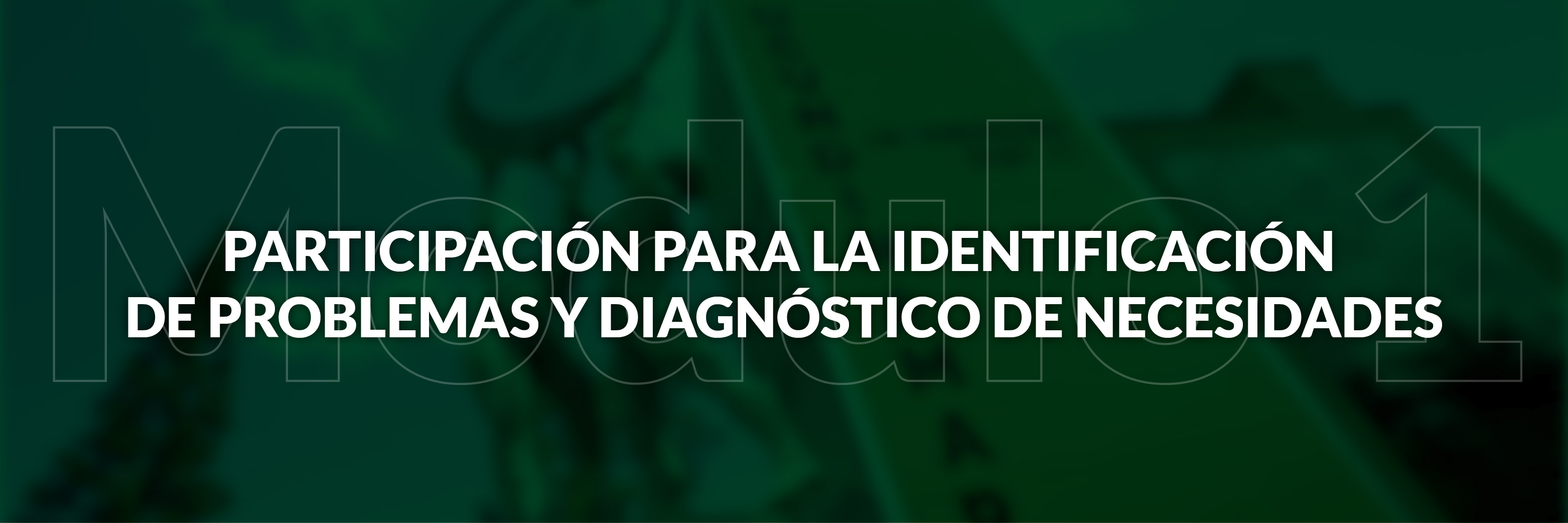 Modulo 1: Participación para la identificación de problemas y diagnóstico de necesidades