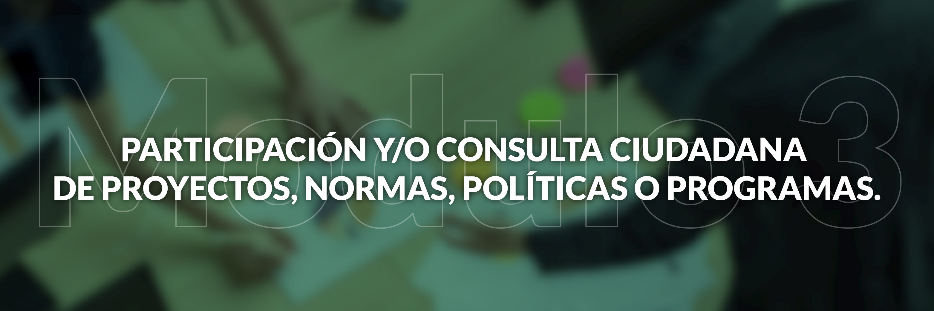 Módulo 3: Participación y/o consulta ciudadana de proyectos, normas, políticas o programas.