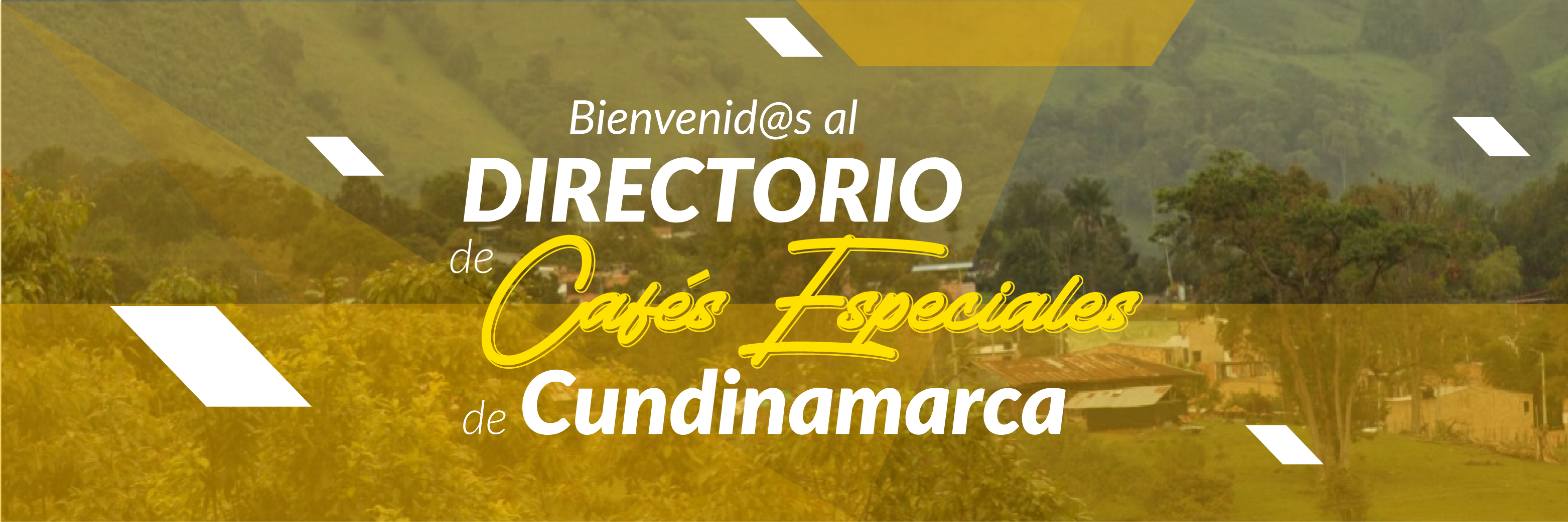 Bienvenido al directorio de cafés especiales de la UCundinamarca