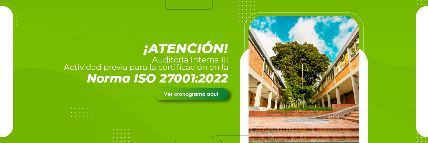 Auditoria interna 3