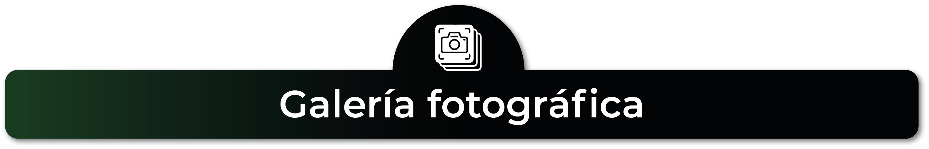 galería fotográfica