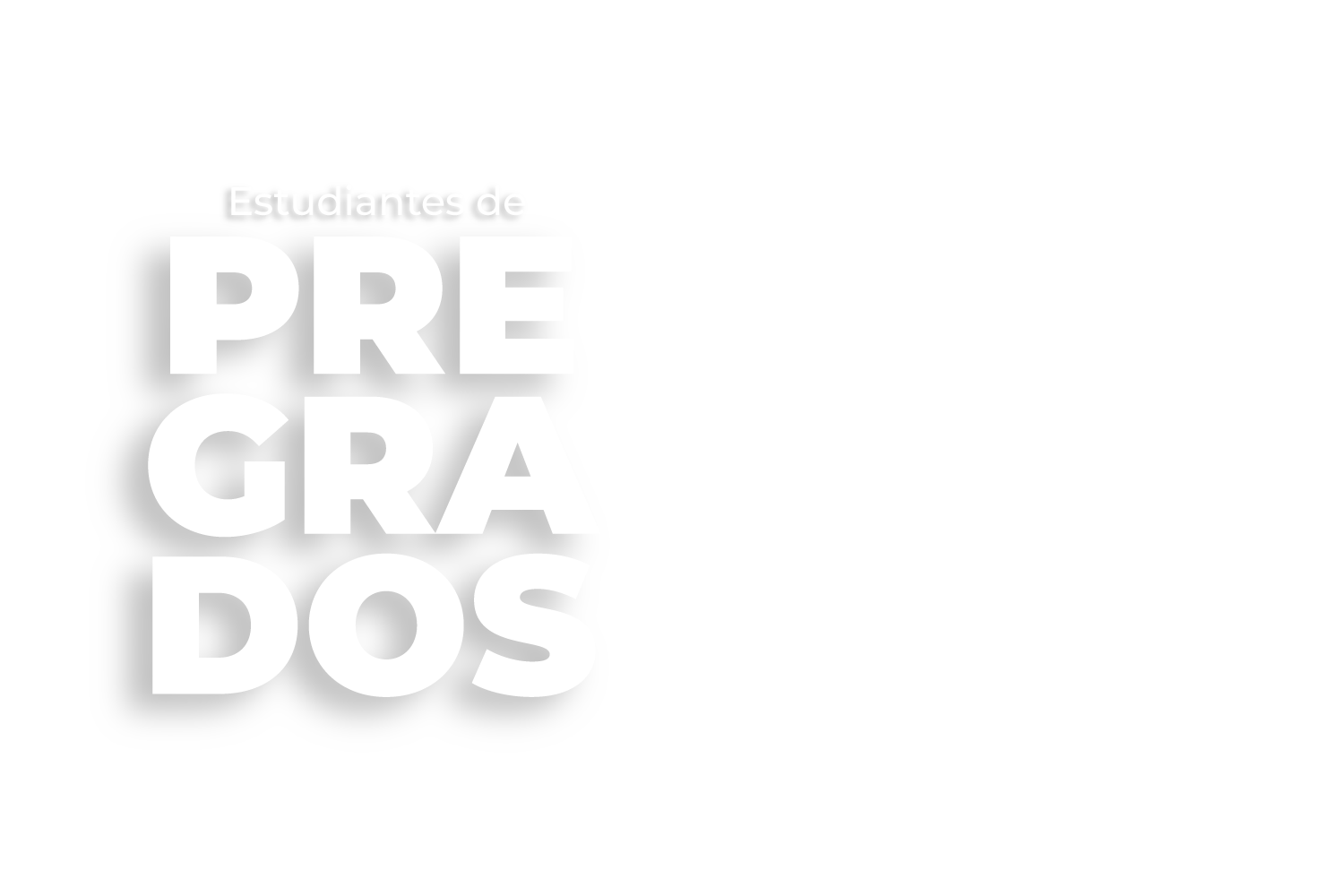Estudiantes pregrado