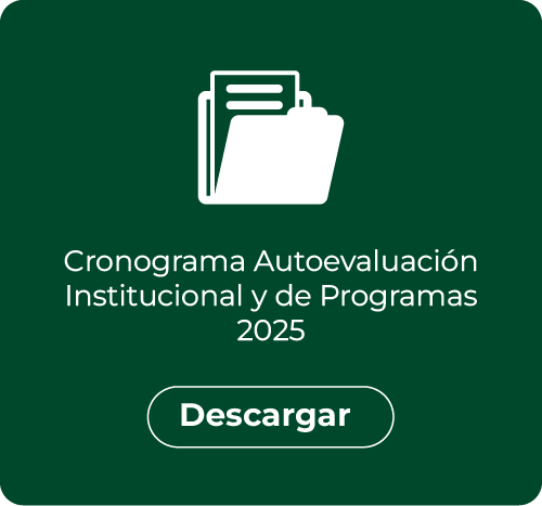 Cronograma de autorvaluacion