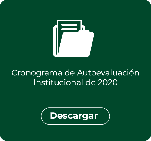 Cronograma de autoevaluación