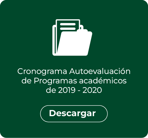 Cronograma de autoevaluación