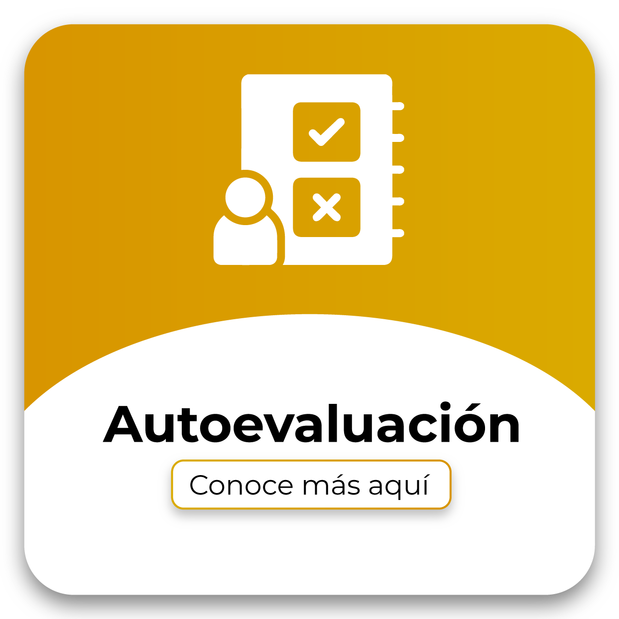 boton-autoevaluacion