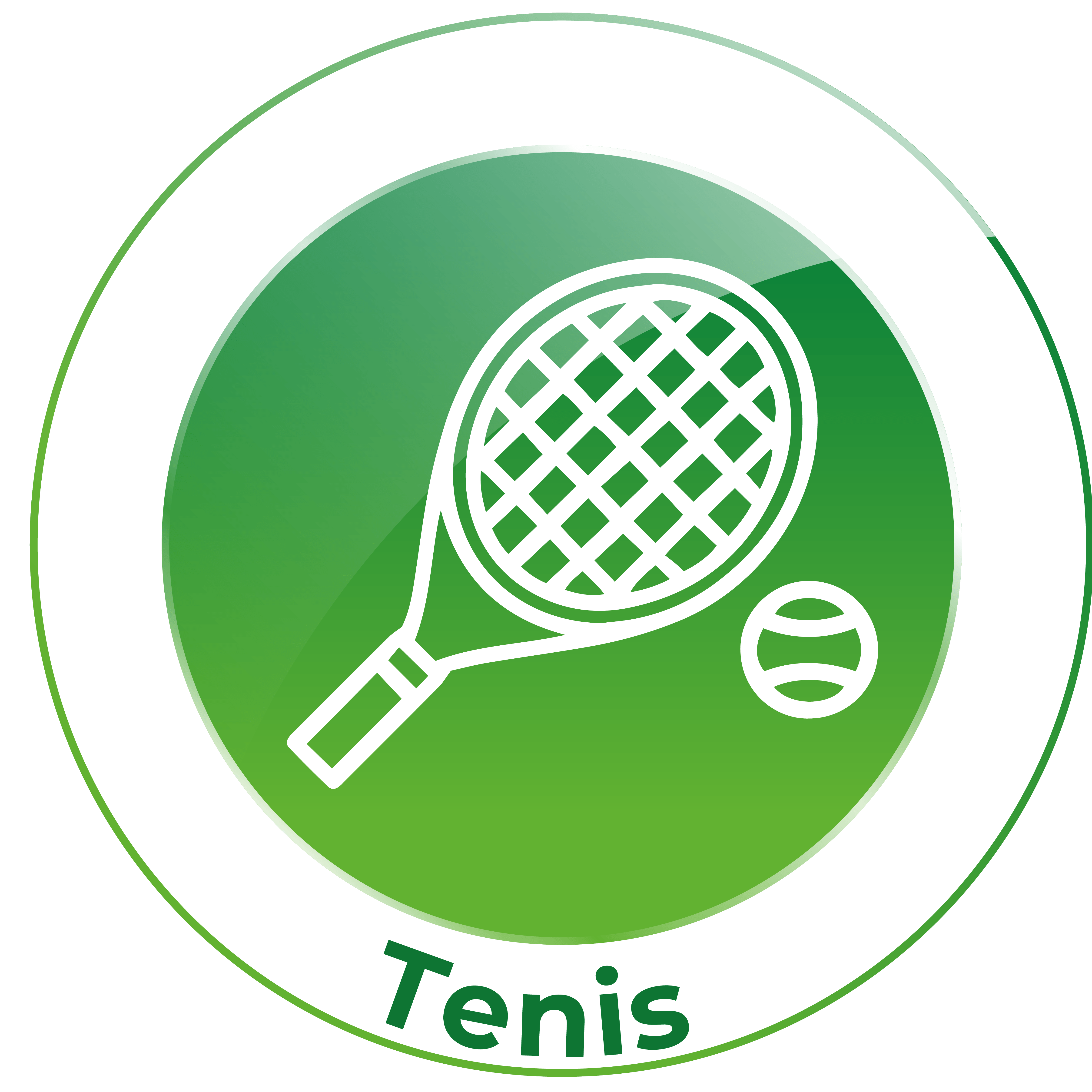 Tenis