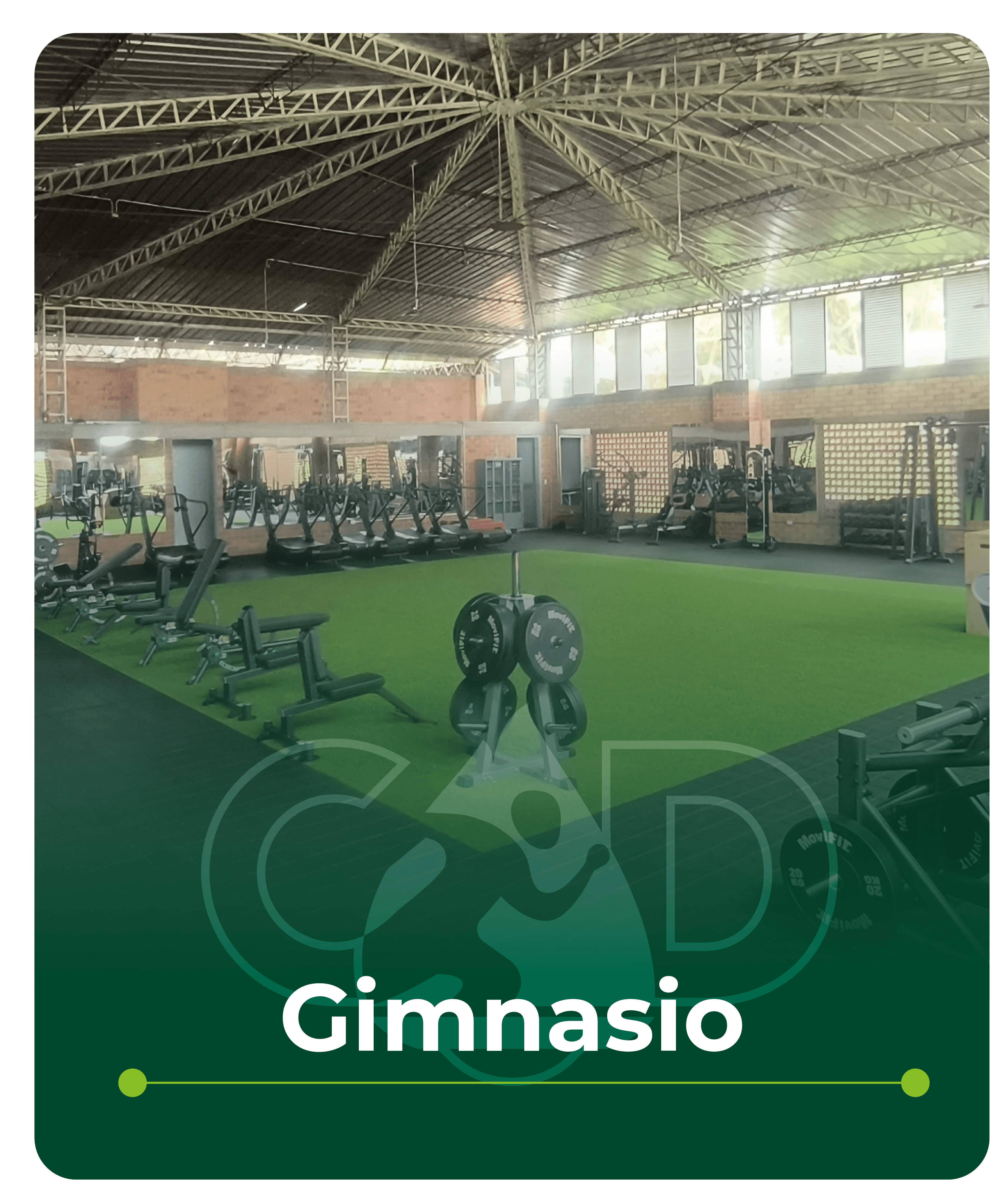 Gimnasio