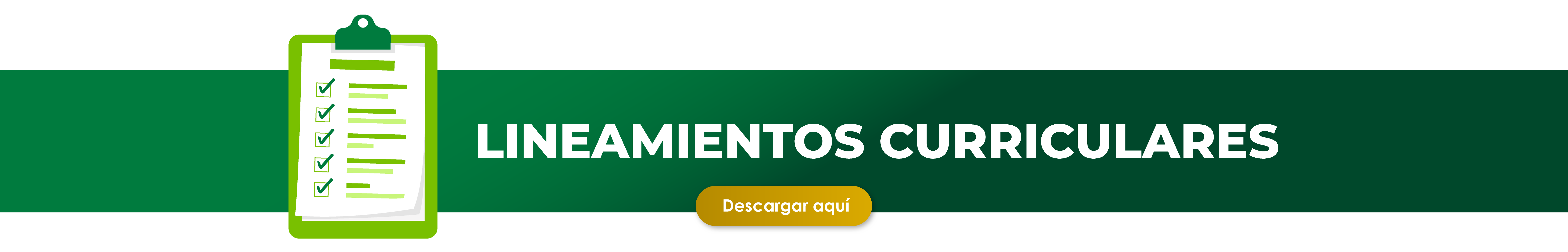 Lineamientos curriculares
