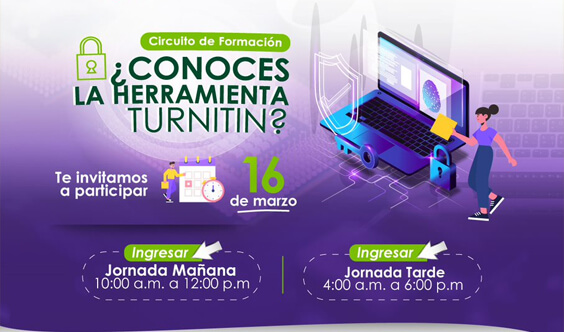 imagen galeria