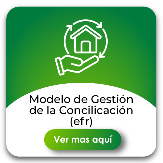 Modelo de Gestión de la conciliación(efr)