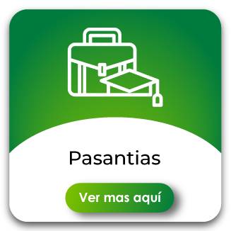 Pasantias