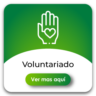 Voluntariado