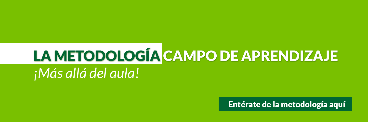 LA METODOLOGÍA CAMPO DE APRENDIZAJE