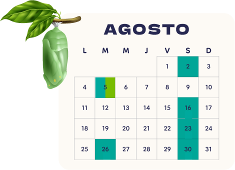 Calendario Agosto 2024
