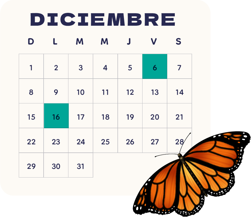 Calendario DICIEMBRE 2024