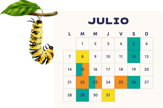 Calendario Julio 2024
