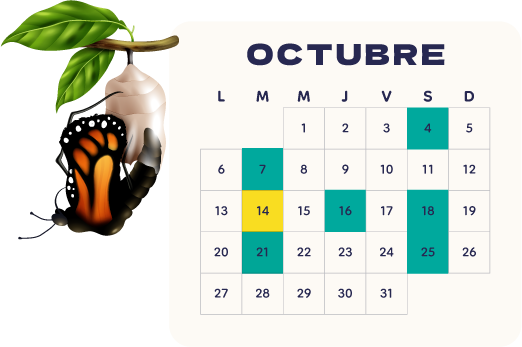 Calendario Octubre 2024