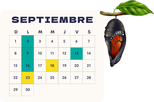 Calendario Septiembre 2024