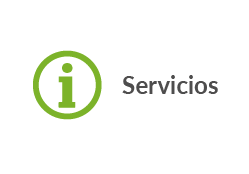 servicios