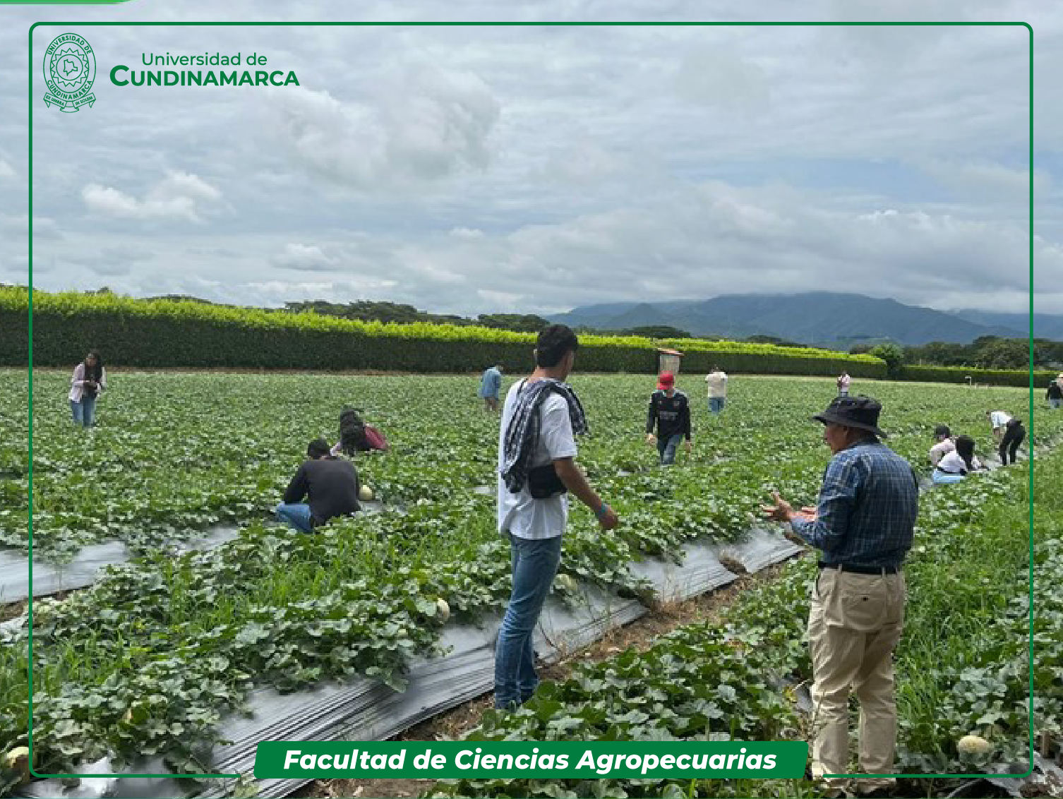 Estudiantes en campos de cultivo