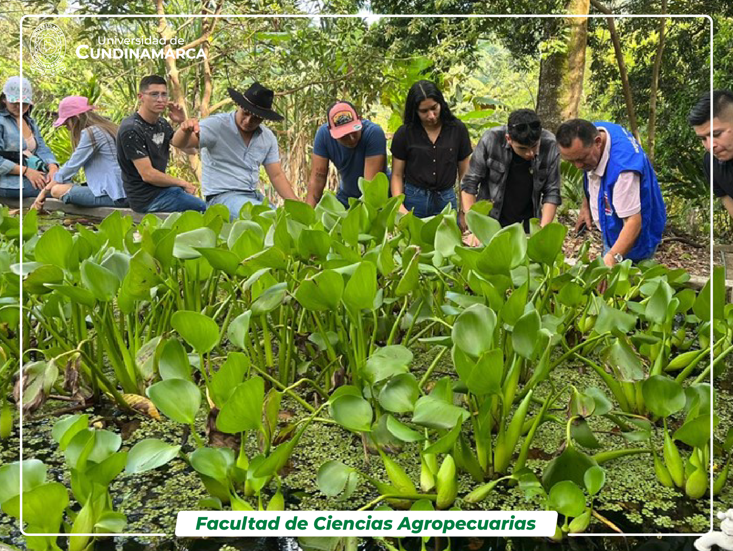 Estudiantes observando plantas
