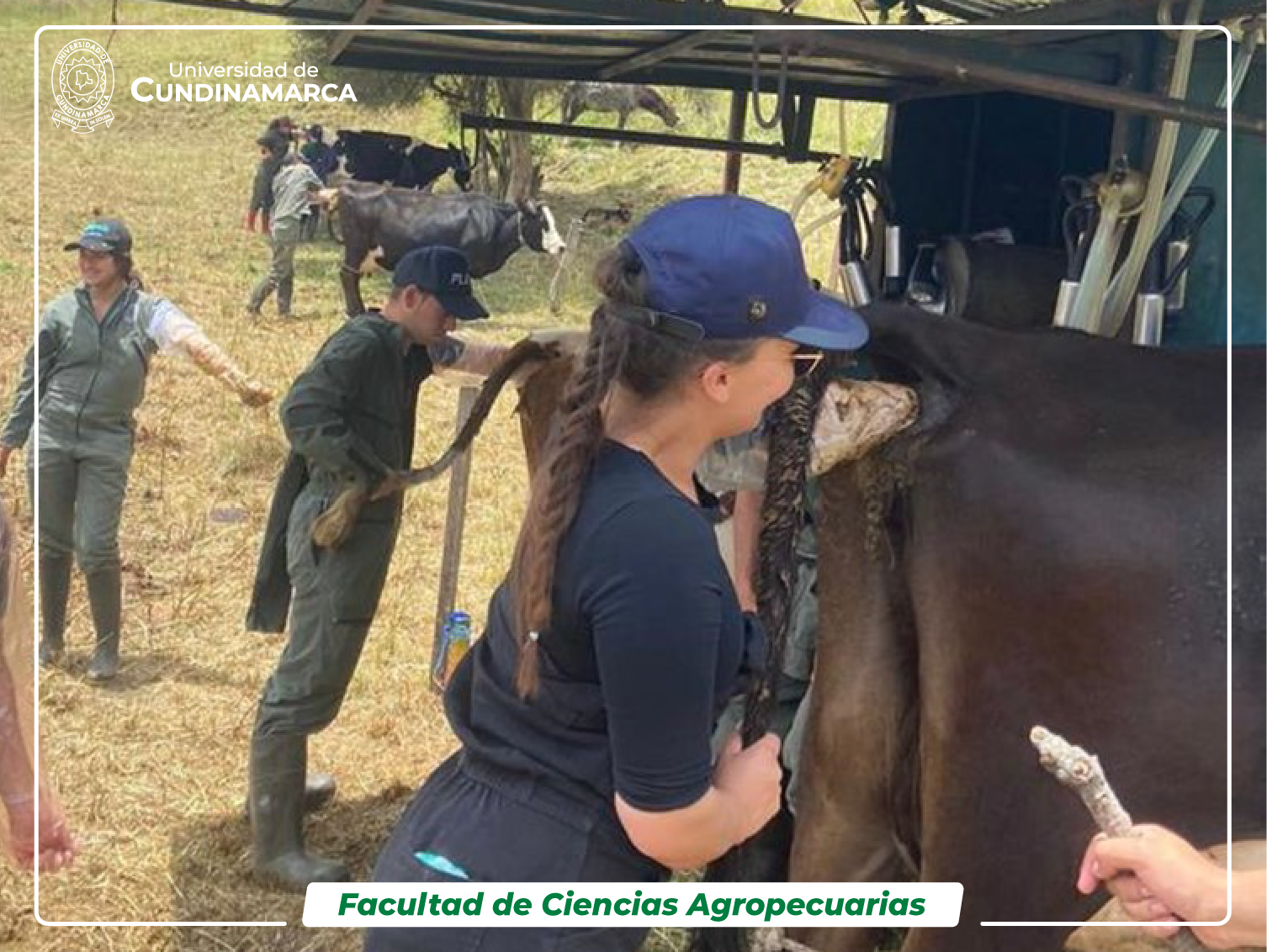 Estudiantes en practicas