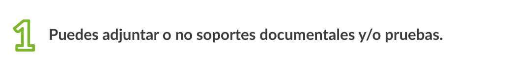 1 puedes adjuntar o no, soportes documentales y/o pruebas