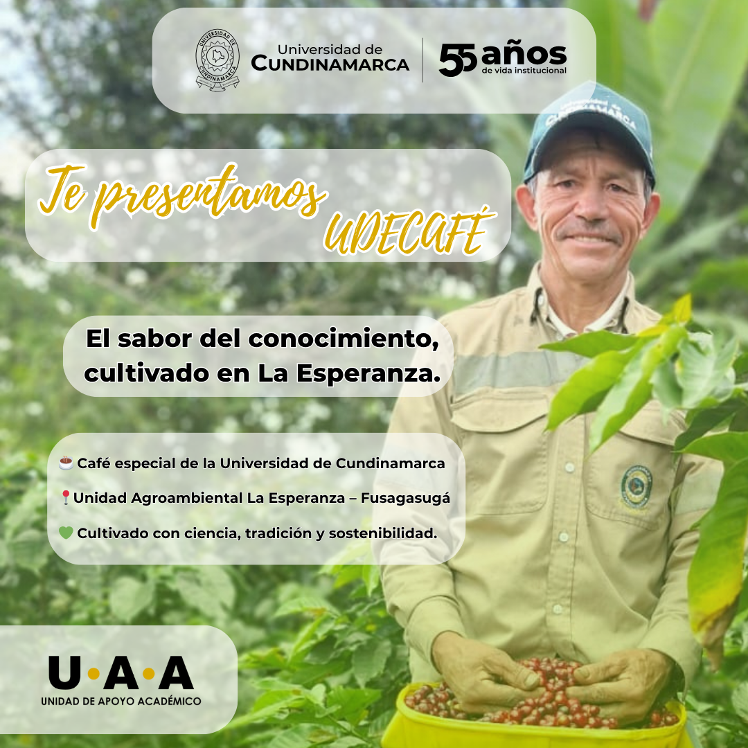 Agricultor sosteniendo frutos de café en un cultivo.