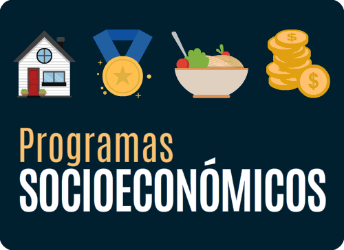 programas_socioeconomicos_iipa2016.gif