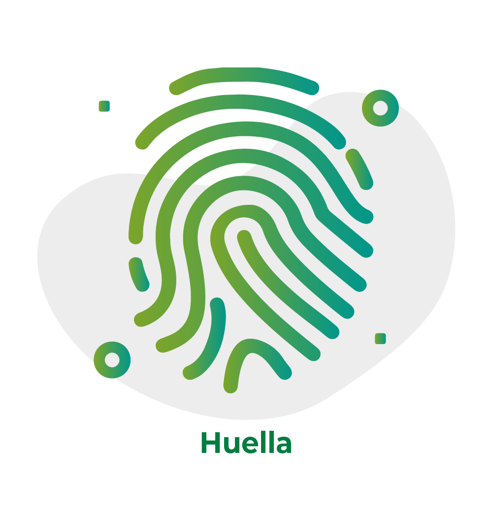 Build Beautiful Websites