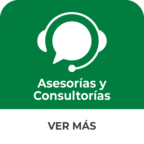 Asesorías y Consultorías