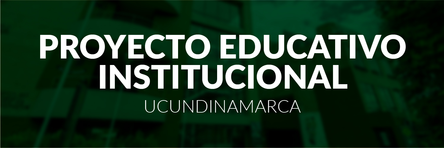 Proyecto Educativo Institucional