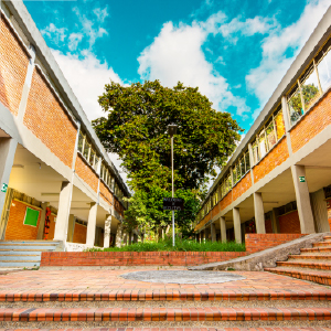 bloques educativos sede Fusagasugá