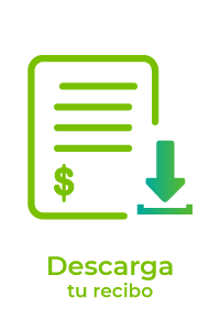 Descarga tu recibo de pago