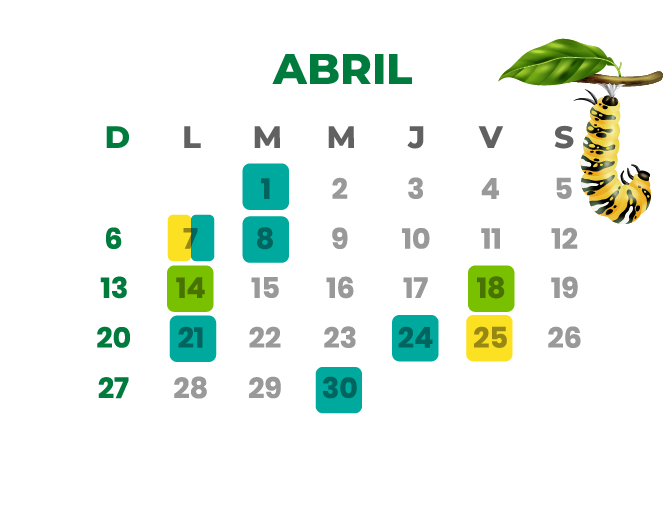 Calendario Abril 2025