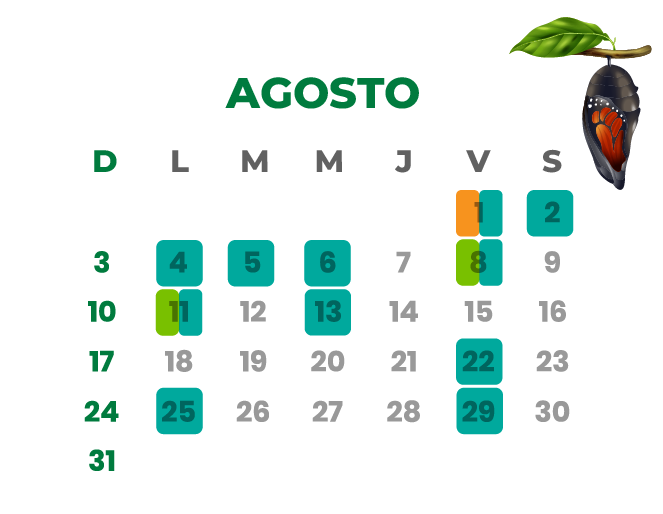 Calendario Agosto 2024
