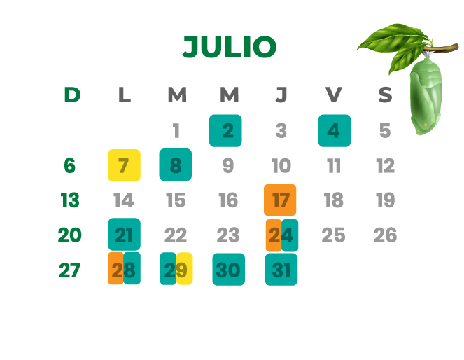 Calendario Julio 2025