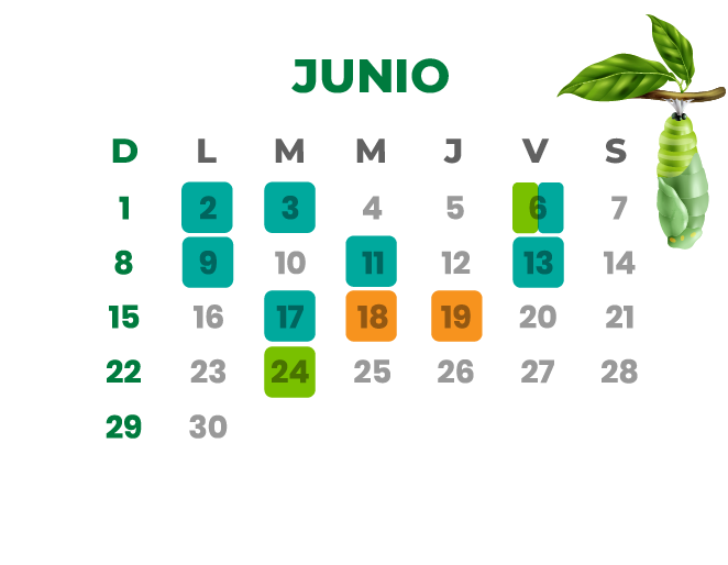 Calendario Junio 2025