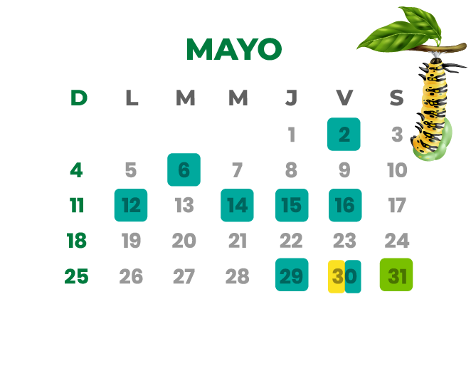 Calendario Septiembre 2024