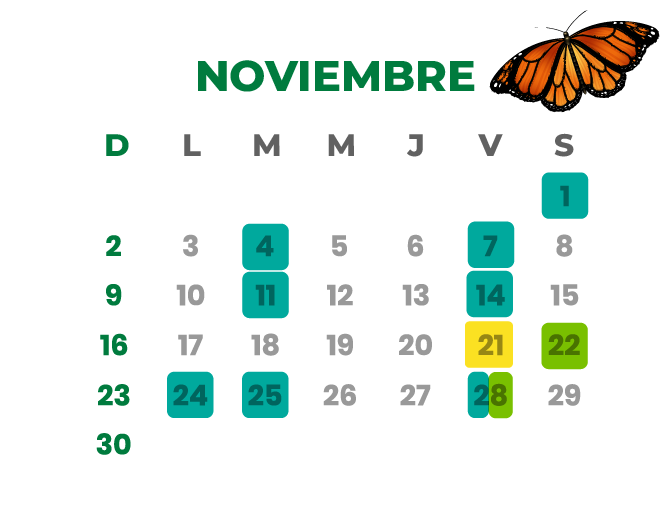 Calendario noviembre 2024