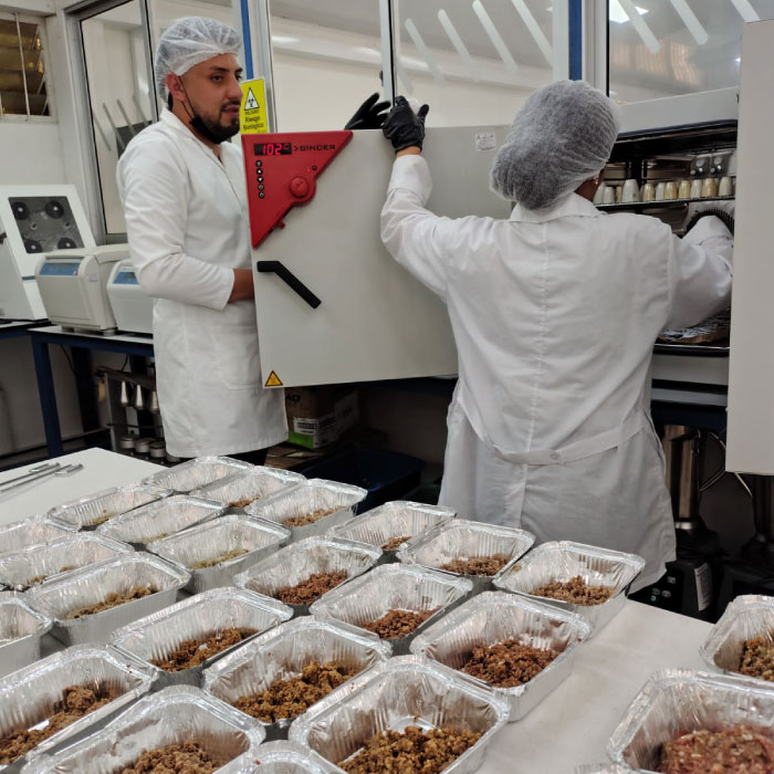 Fotografía de estudiantes trabajando
