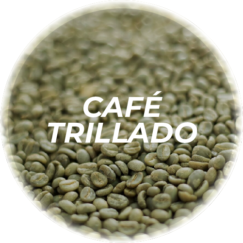 Build Beautiful Websites